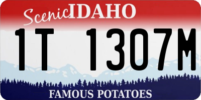 ID license plate 1T1307M