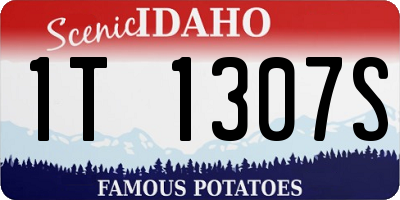 ID license plate 1T1307S