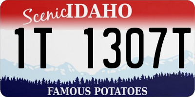 ID license plate 1T1307T