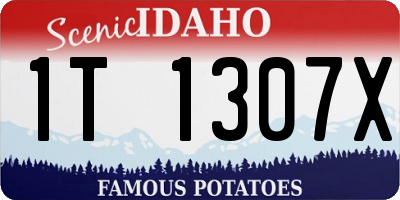 ID license plate 1T1307X