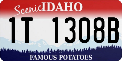 ID license plate 1T1308B