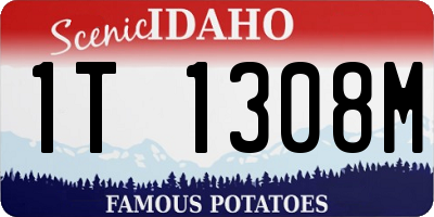 ID license plate 1T1308M