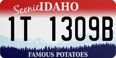 ID license plate 1T1309B