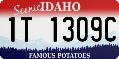 ID license plate 1T1309C