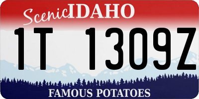 ID license plate 1T1309Z