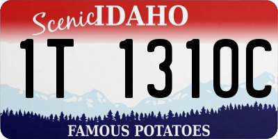 ID license plate 1T1310C