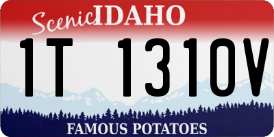 ID license plate 1T1310V