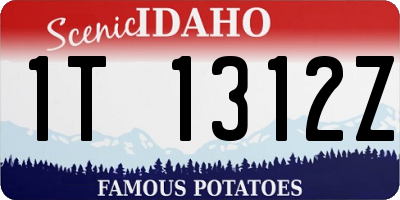 ID license plate 1T1312Z