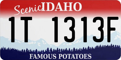 ID license plate 1T1313F