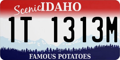 ID license plate 1T1313M