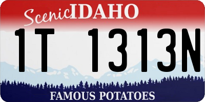ID license plate 1T1313N