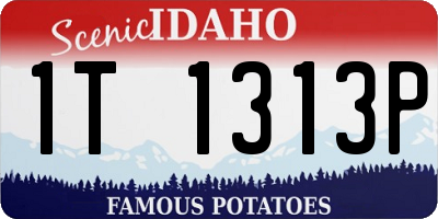 ID license plate 1T1313P