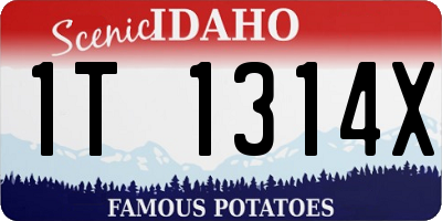 ID license plate 1T1314X
