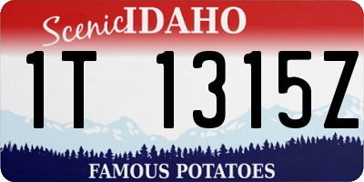 ID license plate 1T1315Z