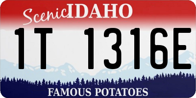 ID license plate 1T1316E