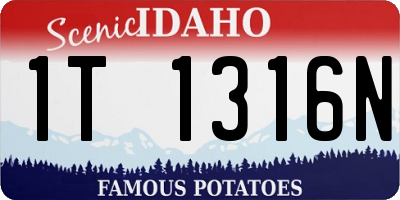 ID license plate 1T1316N