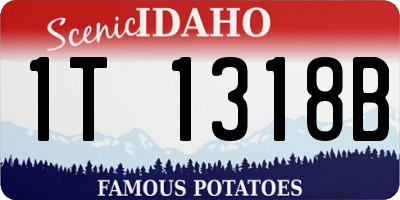 ID license plate 1T1318B