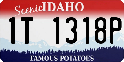 ID license plate 1T1318P