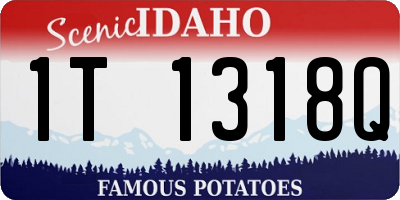 ID license plate 1T1318Q