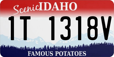 ID license plate 1T1318V