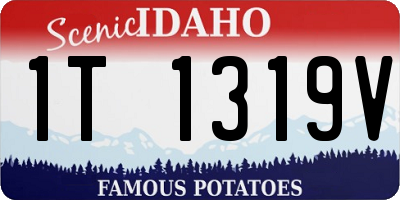 ID license plate 1T1319V