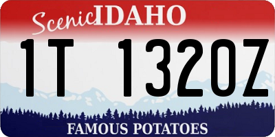 ID license plate 1T1320Z