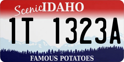 ID license plate 1T1323A