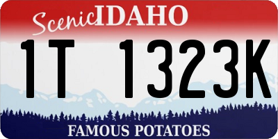 ID license plate 1T1323K