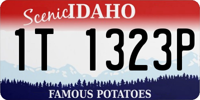 ID license plate 1T1323P
