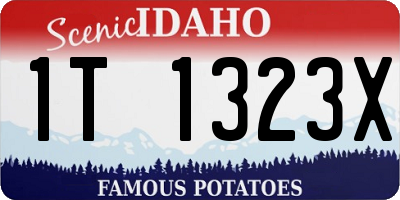 ID license plate 1T1323X
