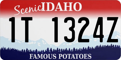 ID license plate 1T1324Z