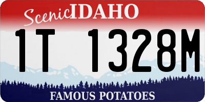 ID license plate 1T1328M