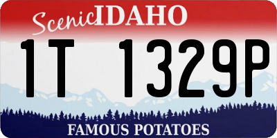 ID license plate 1T1329P