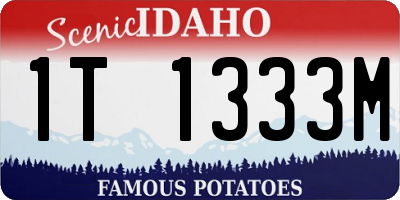 ID license plate 1T1333M