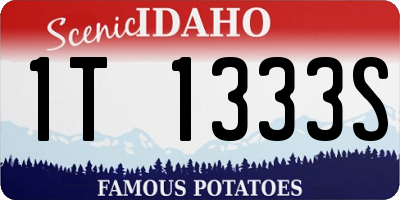 ID license plate 1T1333S