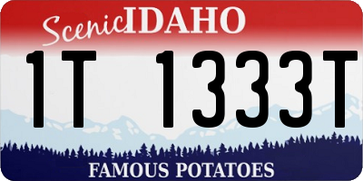 ID license plate 1T1333T