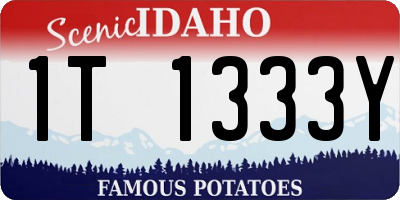 ID license plate 1T1333Y