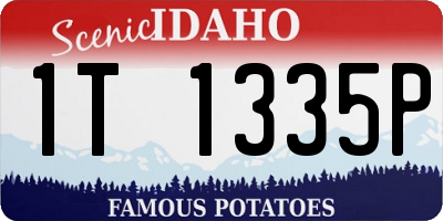 ID license plate 1T1335P