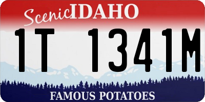 ID license plate 1T1341M
