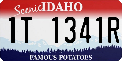 ID license plate 1T1341R