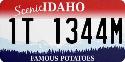 ID license plate 1T1344M