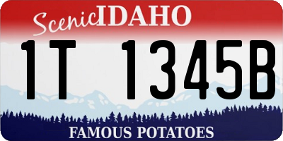 ID license plate 1T1345B