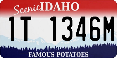 ID license plate 1T1346M