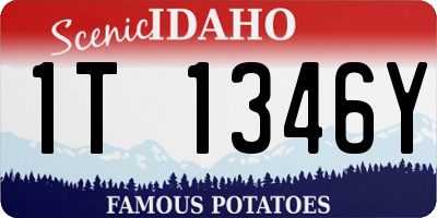 ID license plate 1T1346Y