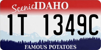 ID license plate 1T1349C