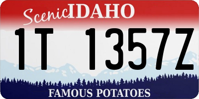 ID license plate 1T1357Z