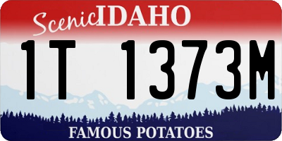 ID license plate 1T1373M