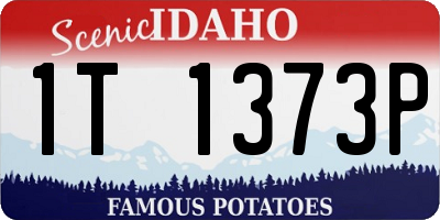 ID license plate 1T1373P