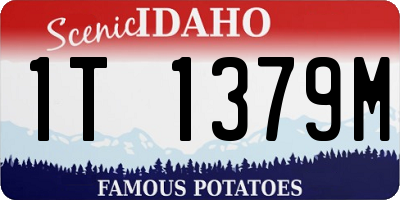 ID license plate 1T1379M