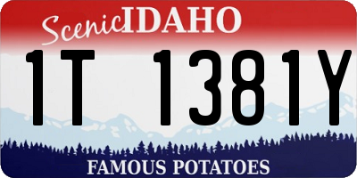 ID license plate 1T1381Y